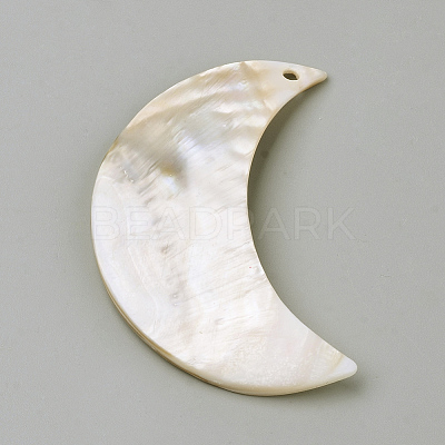 Freshwater Shell Pendants BSHE-S620-04-1