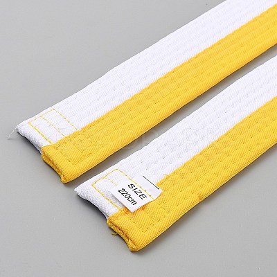 Taekwondo Belt AJEW-WH20022-73B-04-1