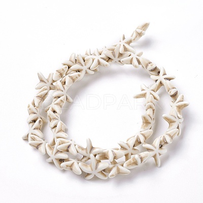 Synthetic Turquoise Beads Strands TURQ-L029-03B-1