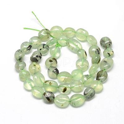 Natural Prehnite Beads Strands G-R445-8x10-25-1