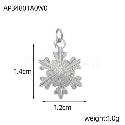 304 Stainless Steel Pendants STAS-OY005-56P-1