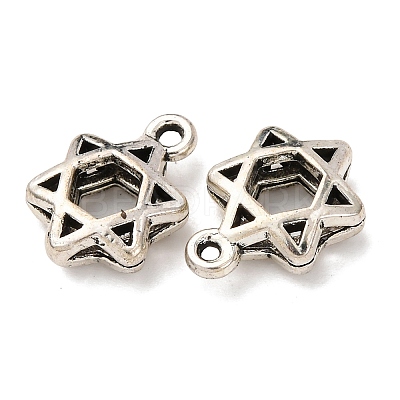 Tibetan Style Alloy Charms FIND-Z099-07AS-01-1