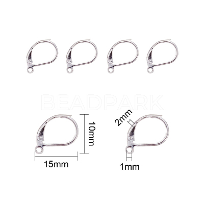 304 Stainless Steel Leverback Earring Findings X-STAS-L190-14S-1
