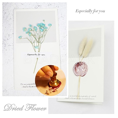 DIY Scrapbook AJEW-WH0100-406-1