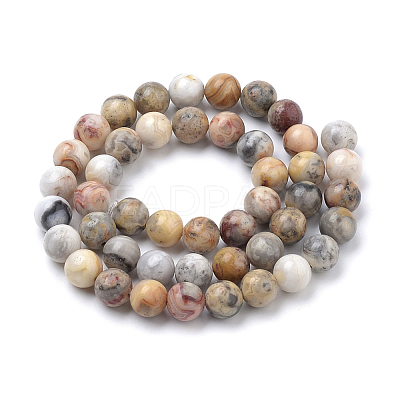 Natural Crazy Lace Agate Round Bead Strands X-G-E334-6mm-20-1