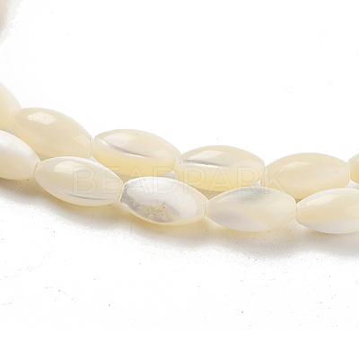 Natural Trochid Shell/Trochus Shell Beads Strands PBB513Y-1