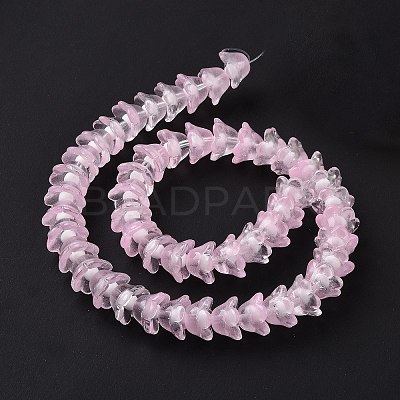 Transparent Glass Beads Strands LAMP-H061-01C-1