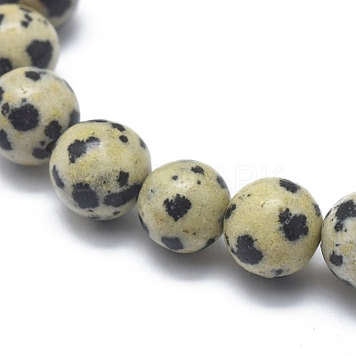 Natural Dalmatian Jasper Bead Stretch Bracelets BJEW-K212-C-014-1