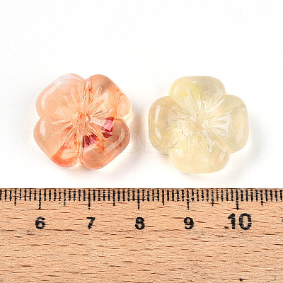 Transparent Acrylic Beads TACR-T028-40E-1