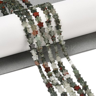 Natural Bloodstone Beads Strands G-H087-C05-01-1