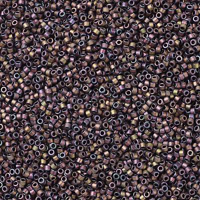 MIYUKI Delica Beads X-SEED-J020-DB1056-1