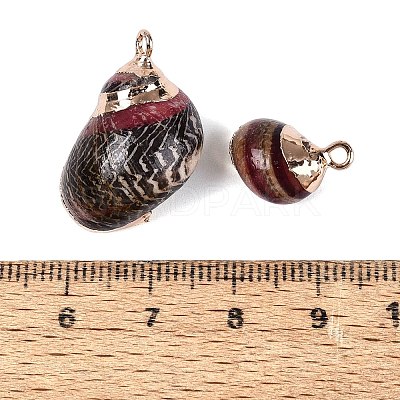 Electroplate Natural Spiral Shell Pendants SSHEL-Q100-47G-1