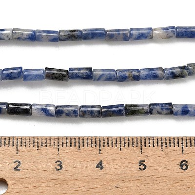 Natural Blue Spot Jasper Beads Strands G-P600-B05-01-1