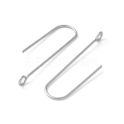 316 Surgical Stainless Steel Earring Hooks STAS-Z124-02D-P-1