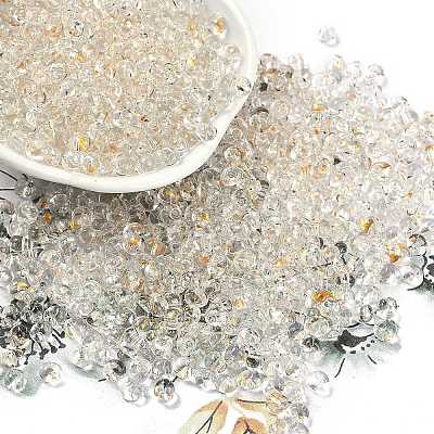6/0 Spray Paint Fringe Glass Seed Beads X1-SEED-H003-11B-1