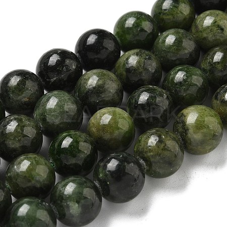 Natural Green Diopside Beads Strands G-K382-B01-03-1