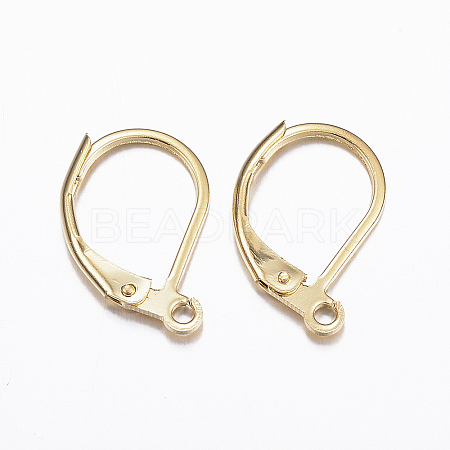 316L Surgical Stainless Steel Leverback Earring Findings X-STAS-E194-03G-1