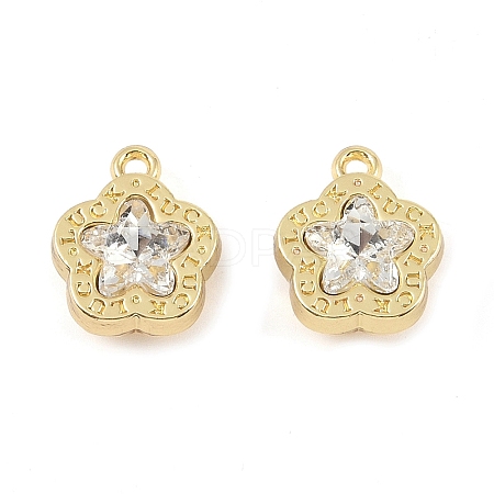 Rack Plating Alloy Beads FIND-B038-02G-1