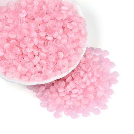 Glass Seed Beads SEED-T007-17G-1