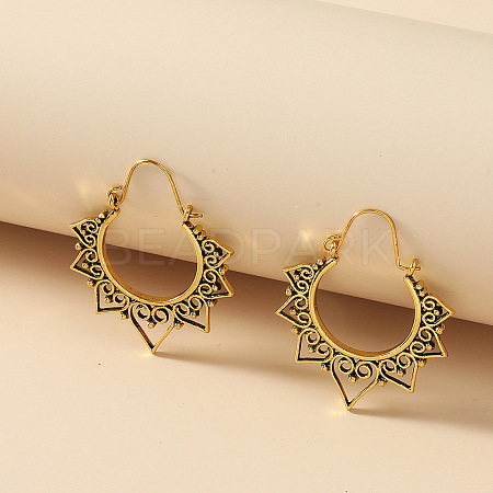 Alloy Hoop Earrings FS-WG0F541-01-1