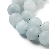 Natural Aquamarine Beads Strands G-G785-06B-01-4