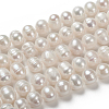 Natural Cultured Freshwater Pearl Beads Strands PEAR-S012-53-4
