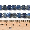 Natural Lapis Lazuli Beads Strands G-D316-B11-4