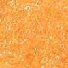 Glass Seed Beads X-SEED-S042-13A-05-3