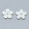 Freshwater Shell Beads X-SHEL-S275-033-2