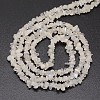 Chips Natural White Moonstone Beads Strands X-G-N0164-57-2