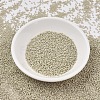 MIYUKI Delica Beads X-SEED-J020-DB2362-2