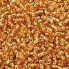 TOHO 8/0 Round Beads SEED-XTR08-0022B-2