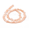 Natural Freshwater Shell Beads Strands SHEL-H002-02A-3