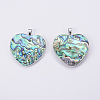 Abalone Shell/Paua Shell Pendants SSHEL-L008-30P-2