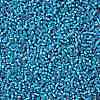 TOHO 11/0 Round Beads X-SEED-TR11-0023BF-2