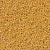 MIYUKI Delica Beads X-SEED-J020-DB0651-3