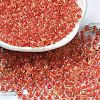 Transparent Glass Round Seed Beads X1-SEED-B001-05A-24-1