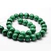 Natural Malachite Bead Strands G-O143-10-12mm-2