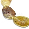 Natural Yellow Opal Bead Strands G-O179-J09-3