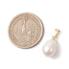 Natural Cultured Freshwater Pearl Pendants PALLOY-JF04963-2