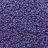 MIYUKI Round Rocailles Beads X-SEED-G008-RR0432-3