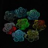 Luminous Transparent Epoxy Resin Decoden Cabochons CRES-M032-04A-2