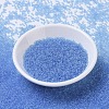 MIYUKI Round Rocailles Beads X-SEED-G007-RR0159-2