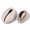 Natural Cowrie Shell Beads LS-SSHEL-N034-33-3