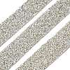 Glitter Resin Hotfix Rhinestone(Hot Melt Adhesive On The Back) OCOR-XCP0002-34-2