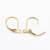 304 Stainless Steel Leverback Earring Findings STAS-L190-14G-2