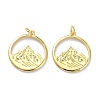 Brass Pendants KK-L188-31G-2