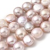 Natural Cultured Freshwater Pearl Beads Strands PEAR-A006-13D-X-2