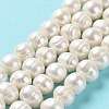 Natural Cultured Freshwater Pearl Beads Strands PEAR-E019-04-2