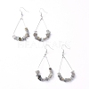 Dangle Earrings EJEW-E255-B04-2